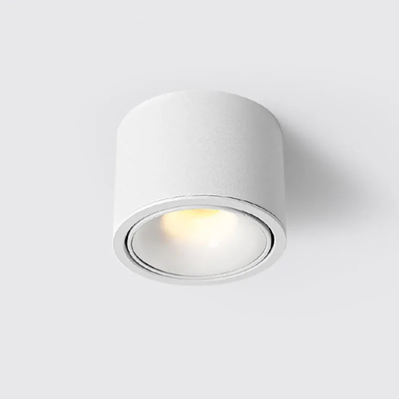 Lampa sufitowa LED natynkowa – regulowany spot, nowoczesne oświetlenie punktowe